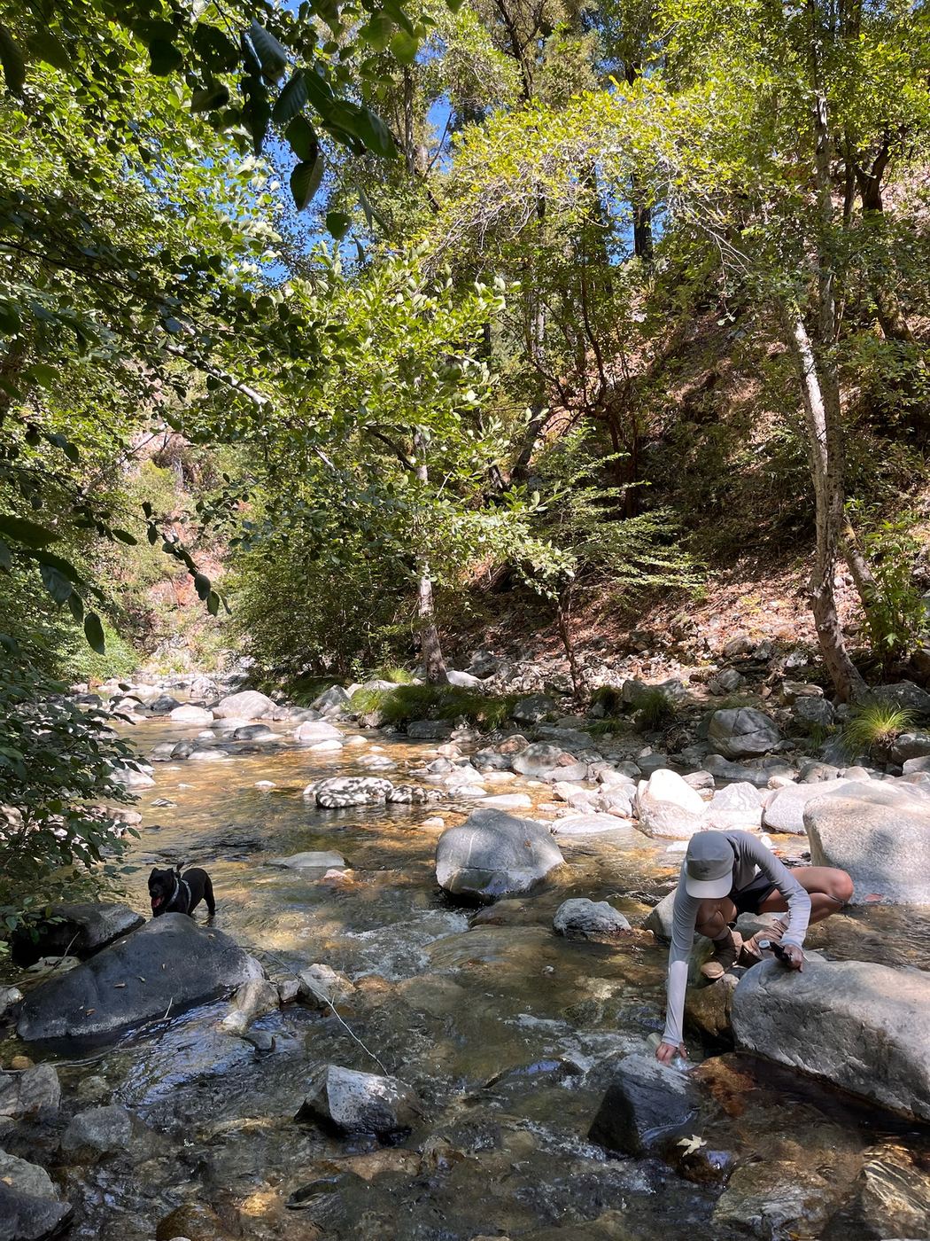 The creek beside the Pine Ridge Trail, boulders and green forest.